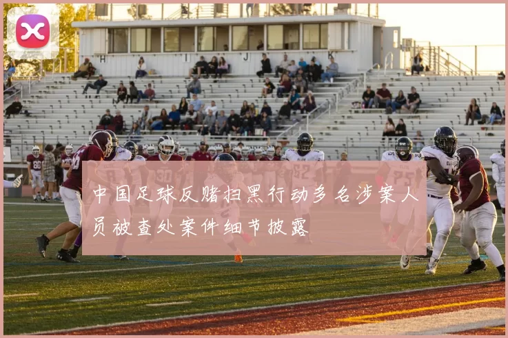 中国足球反赌扫黑行动多名涉案人员被查处案件细节披露