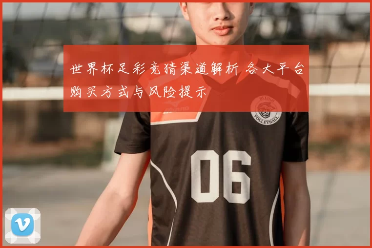 世界杯足彩竞猜渠道解析 各大平台购买方式与风险提示