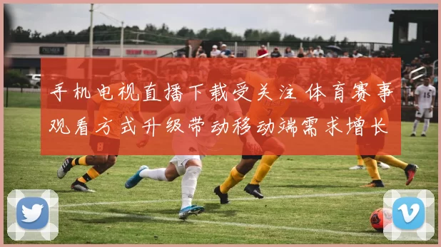 手机电视直播下载受关注 体育赛事观看方式升级带动移动端需求增长