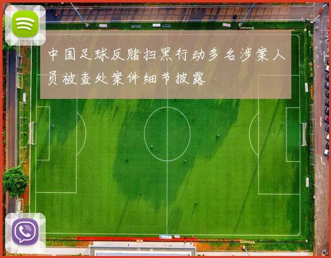 中国足球反赌扫黑行动多名涉案人员被查处案件细节披露